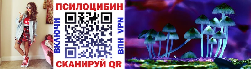 Купить закладки  Вязники  Псилоцибиновые грибы GOLDEN TEACHER 
